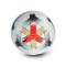 Nike Academy Plus Bal