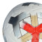 Nike Academy Plus Bal