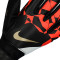 Nike Match Handschoen