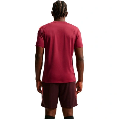 Nike Strike Dri-Fit T-Shirt