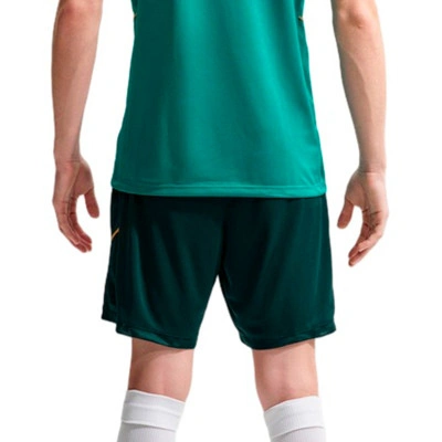 Nike Academy 25 Dri-Fit Shorts