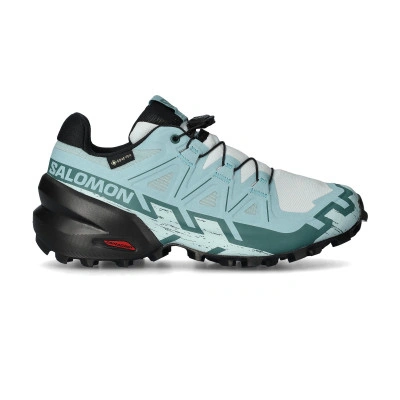 Speedcross 6 Gtx Dames Hardloopschoenen