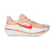 Nike Winflo 12 Vrouw Hardloopschoenen