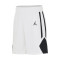 Jordan Team 25 Kind Shorts