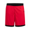 Nike Team 25 Shorts