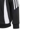 adidas met Capuchon Tiro 24 Kind Fans CF Trival Valderas Sweatshirt