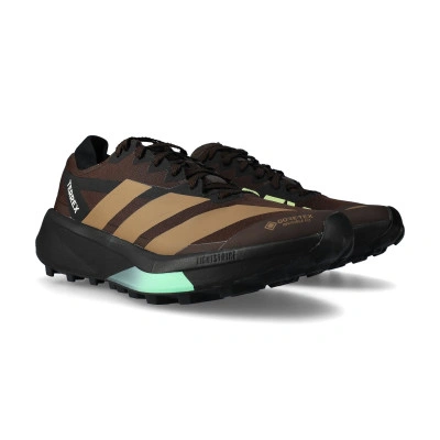 Terrex Agravic Gore-Tex 2 Hardloopschoenen