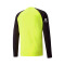 Puma teamPACER m/l Goalkeeper Milan Academy World Shirt