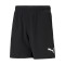 Puma teamRISE Kid Milan Academy World Shorts