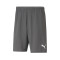 Puma teamRISE Milan Academy World Shorts