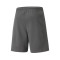 Puma teamRISE Milan Academy World Shorts