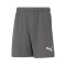 Puma teamRISE Kid Milan Academy World Shorts