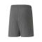 Puma teamRISE Kid Milan Academy World Shorts