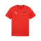 Puma teamGOAL Cotton Milan Academy World T-Shirt