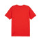 Puma teamGOAL Cotton Milan Academy World T-Shirt