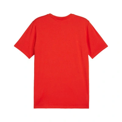 teamGOAL Cotton Milan Academy World T-Shirt
