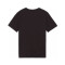 Puma teamGOAL Cotton Kid Milan Academy World T-Shirt