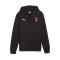 Puma teamGOAL Milan Academy World Sweatshirt