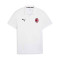 Puma teamGOAL Cotton Kid Milan Academy World Poloshirt