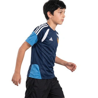 Training Shirt Real Zaragoza 26-27 Kind Shirt