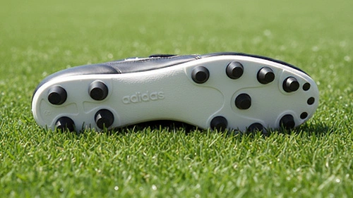 Natuurlijk gras (FG)