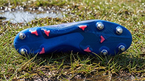 Natuurlijk nat gras (SG)